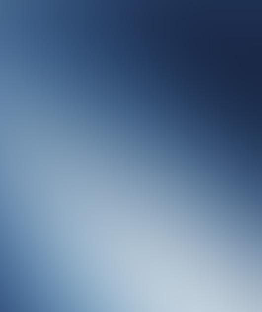 在线余氯总氯分析仪 PACON 2501